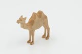 Kamel, stehend, natur